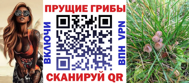 Псилоцибиновые грибы Magic Shrooms  магазин продажи   MEGA ссылка  Южно-Сахалинск 